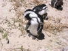 Namibia 1 164